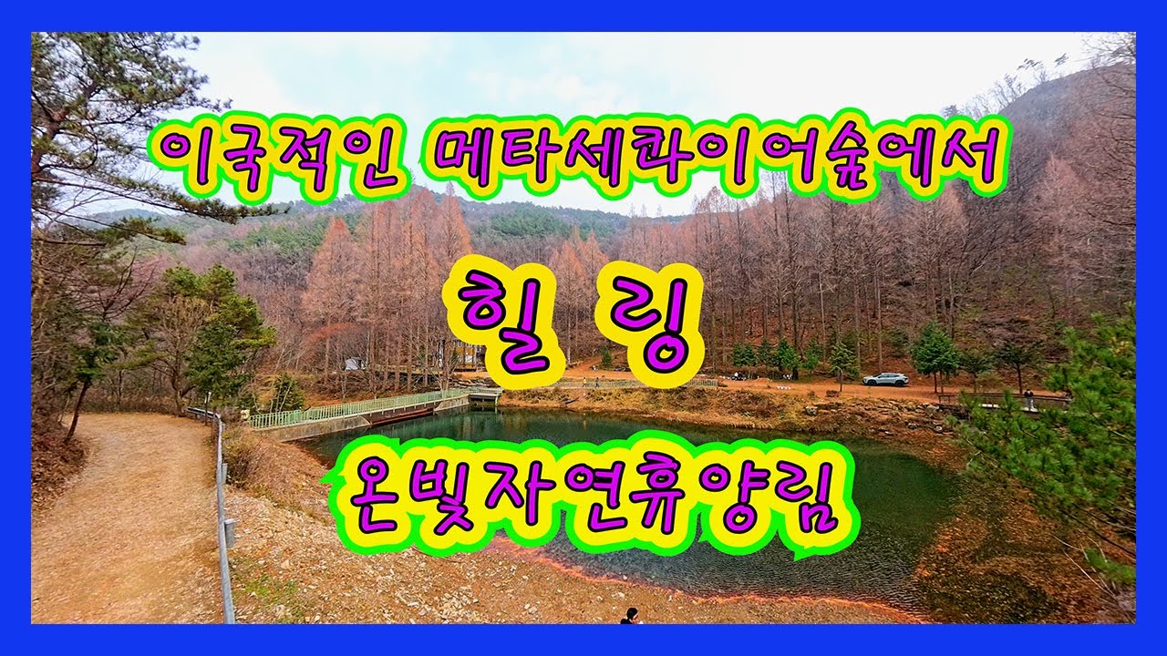 #논산 #이국적인 #메타세콰이어  숲에서힐링 #온빛자연휴양림