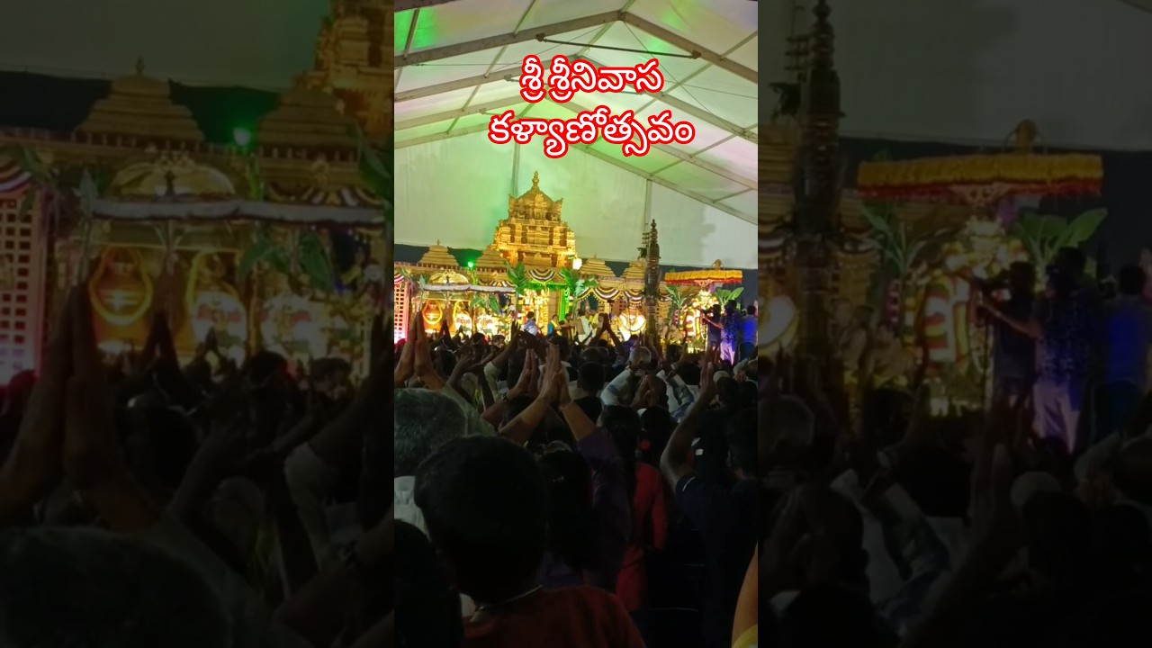 Srinivasa Kalyanostavam #anekal #tirumala #tirupati #venkateswara #lakshmi #padhmavathi