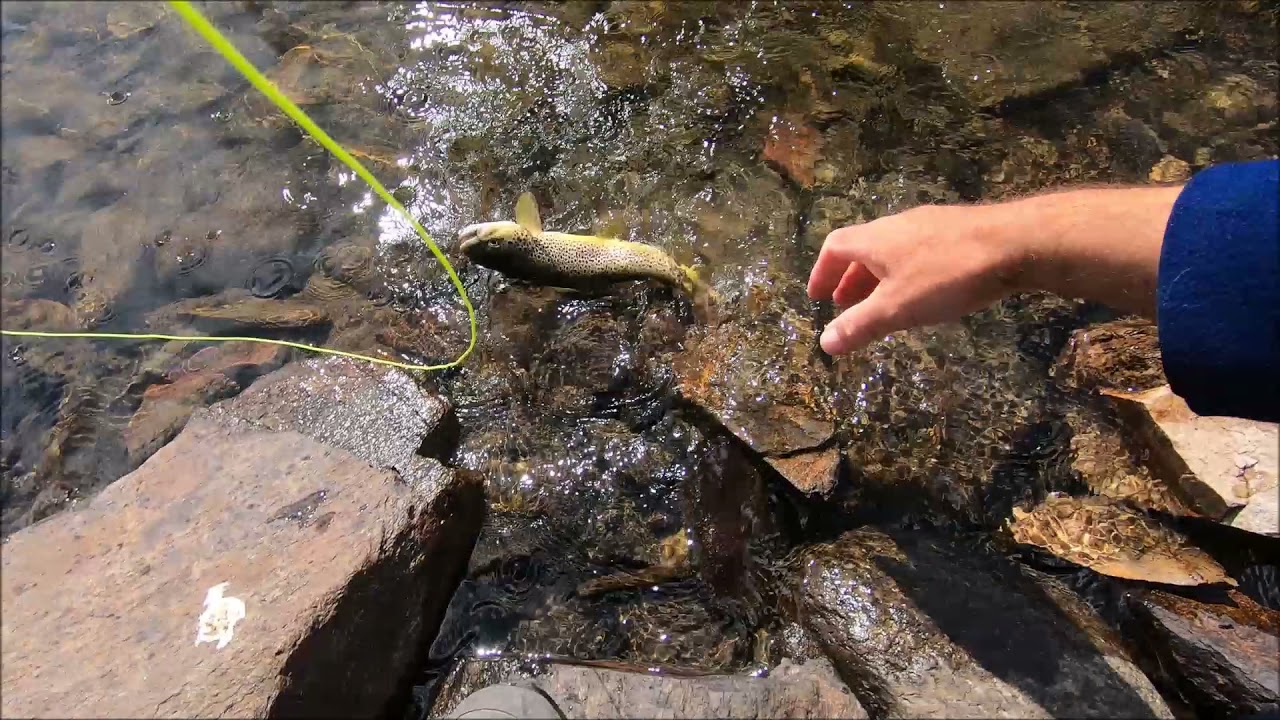 pêche à la mouche en lacs de montagne  N°3