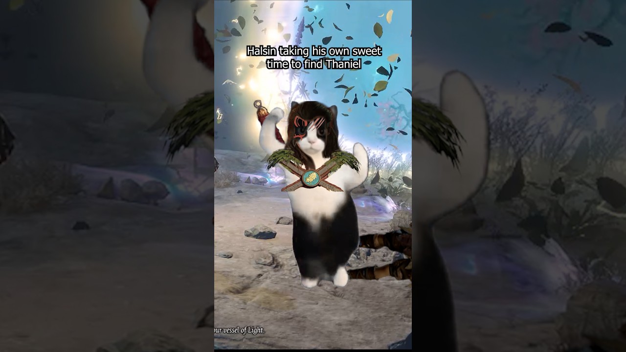 Most difficult battle in #bg3 😵 #baldursgate3 #halsin #catmemes #baldursgate #cat #druid #dnd