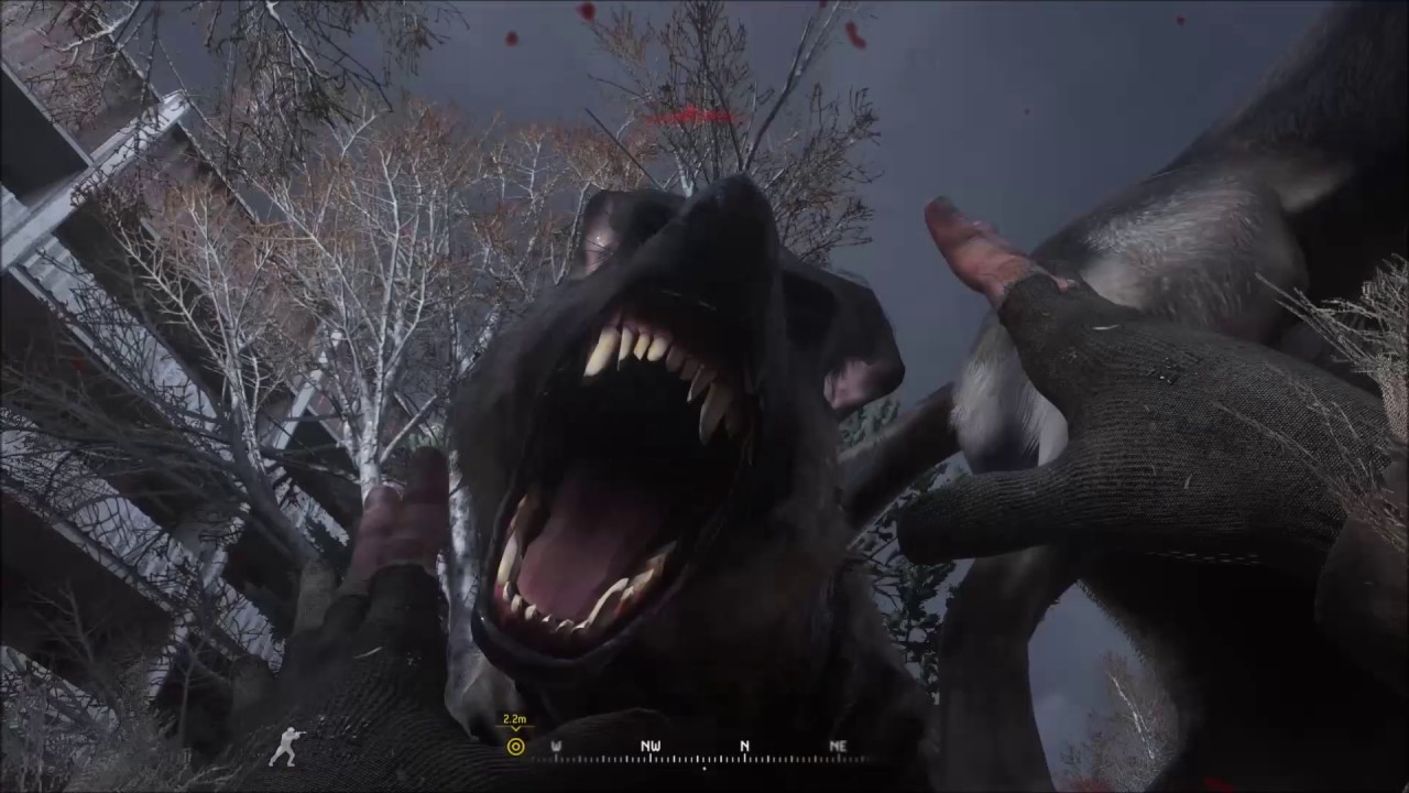 Call of Duty Remastered: Wild Dog Attack Fail