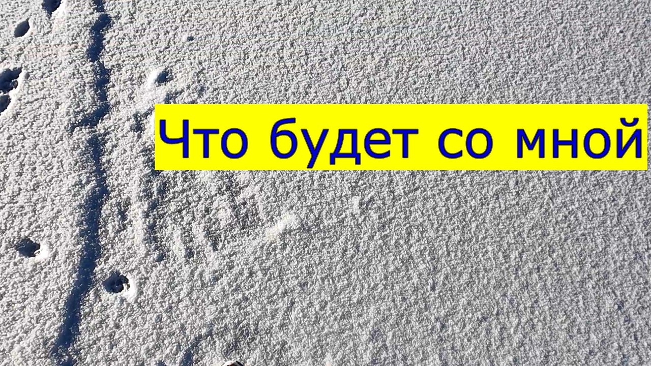 ЧТО БУДЕТ СО МНОЙ ДАЛЬШЕ