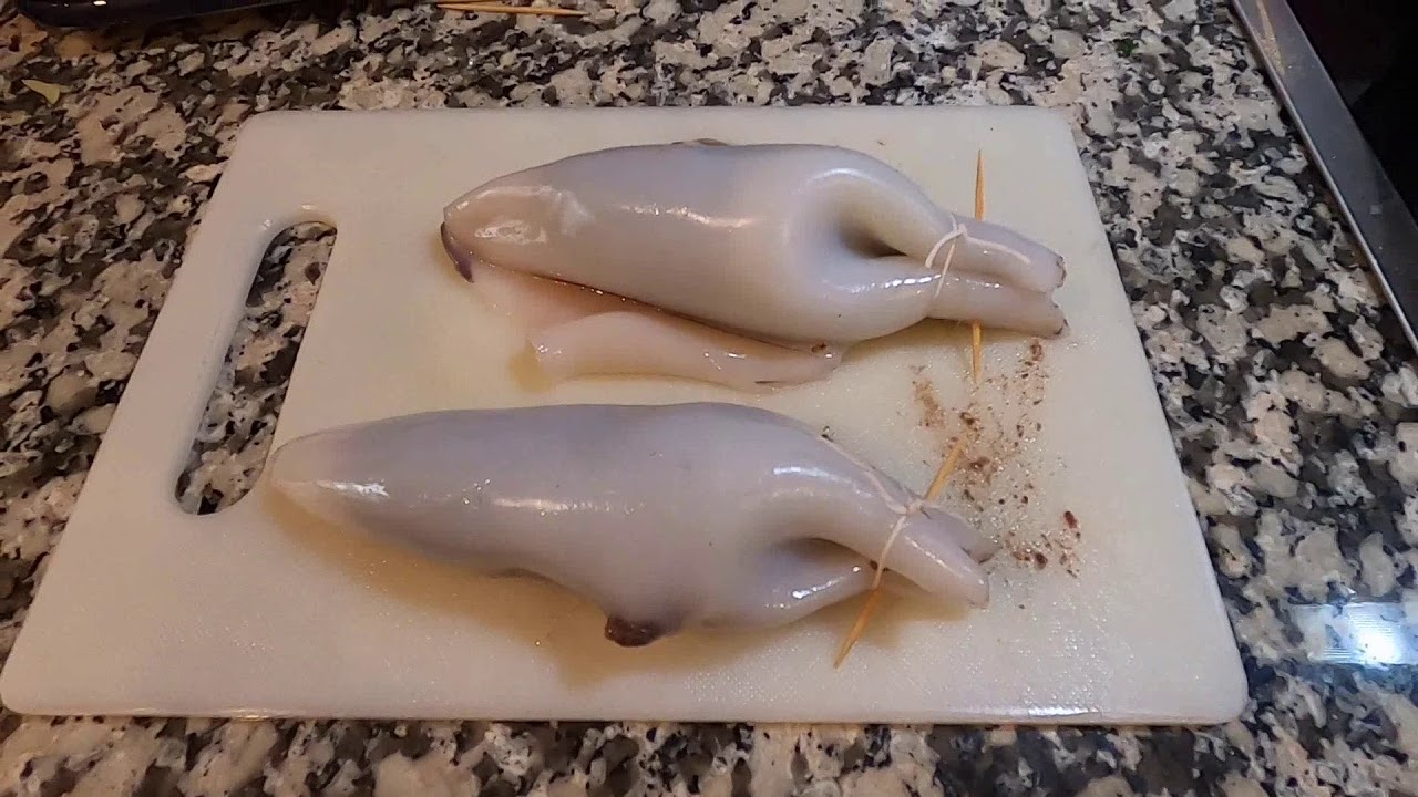 CALAMARS TERRE ET MER  par Alain Valencia