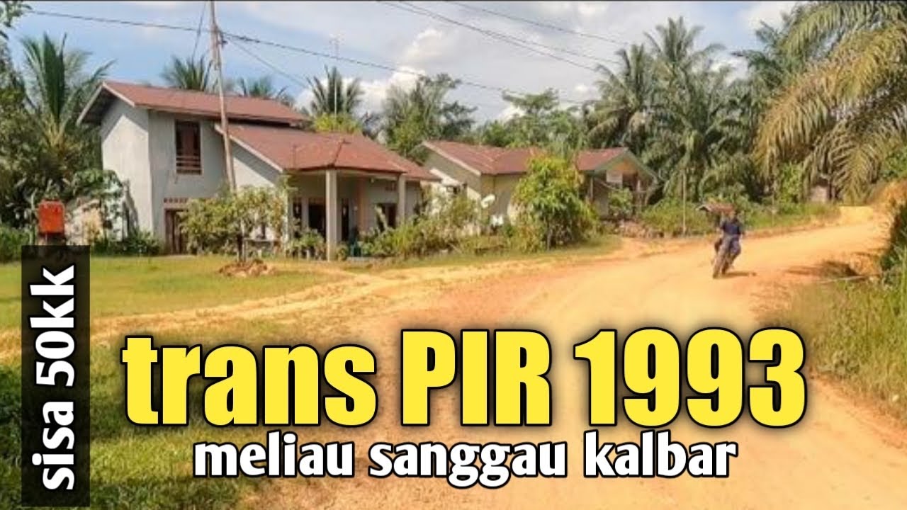 KONDISI TRANS PIR SAWIT DARI 250kk SISA 50KK