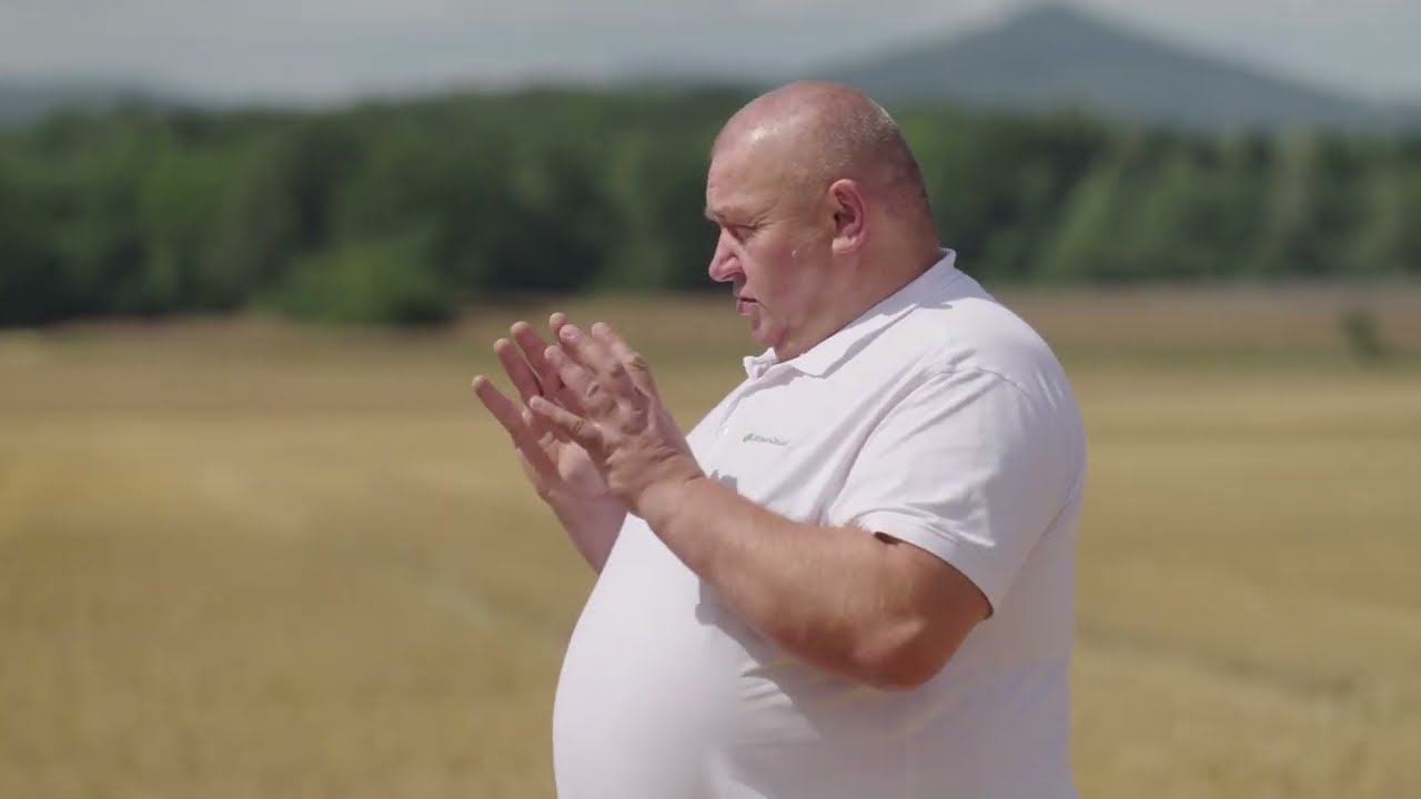 Przedsiewne nawożenie potasem rzepaku ozimego i pszenicy ozimej