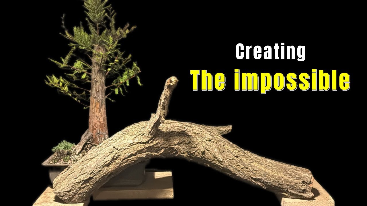 How to make a bonsai pot from a log @Bonsaicrazy