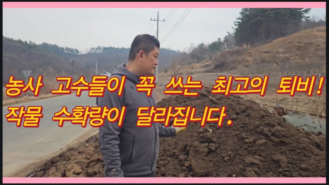 농사 고수들이 꼭 쓰는 최고의 퇴비! 작물 수확량이 달라집니다.(농사의신)