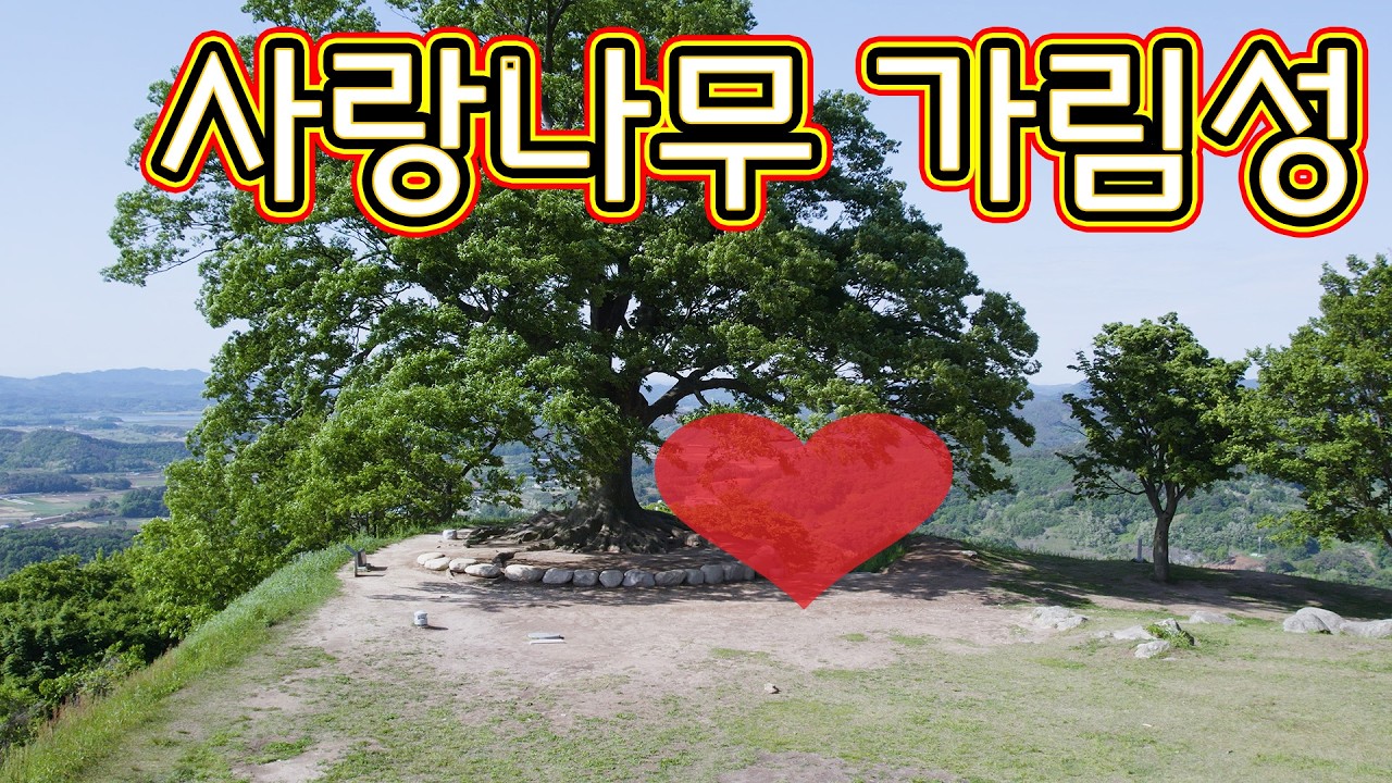 성흥산, 사랑나무, 가림성, 부여여행, 부여군, 부여10경, 사랑이 피어나는, 아름다운 드론 영상, 서동요, 선화공주, 장이, Drone View, 여행 브이로그,