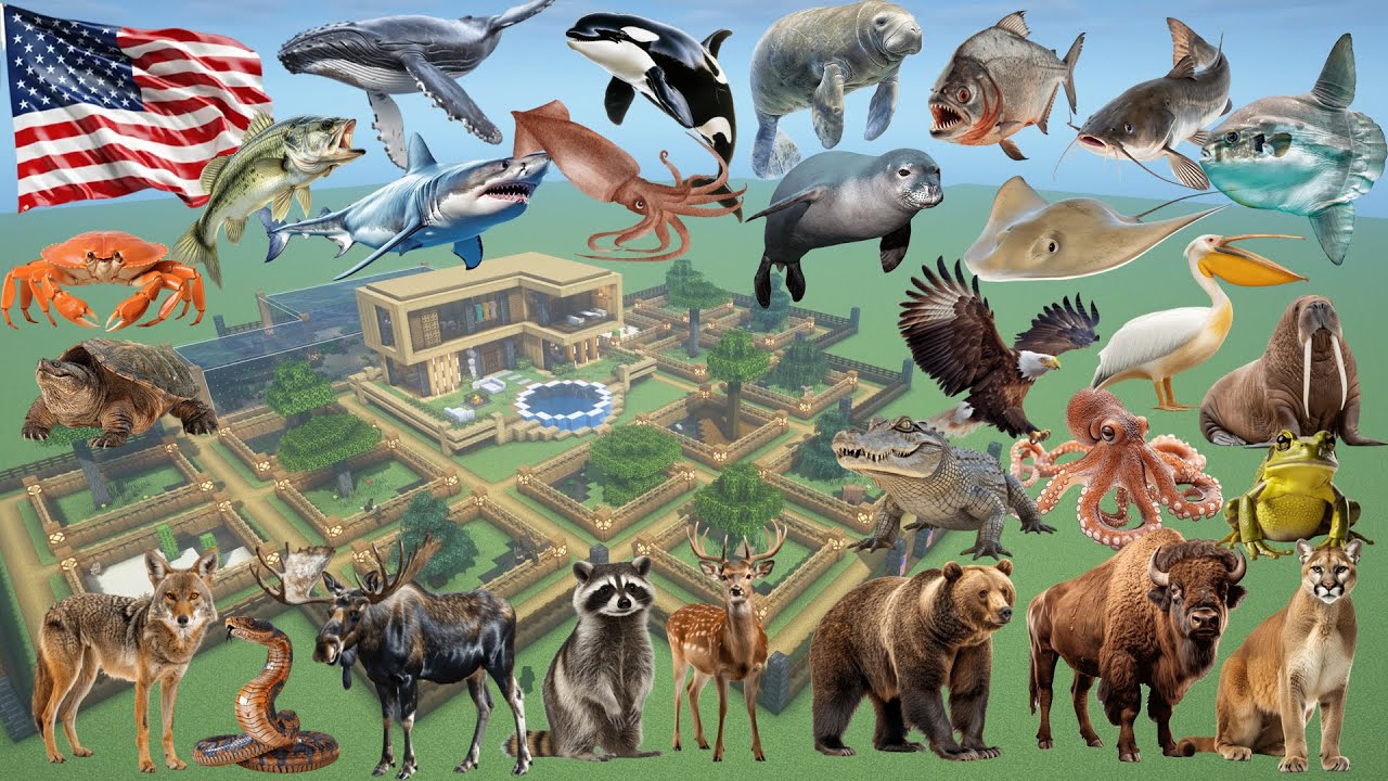 How To Make an America Animal Farm in Minecraft PE