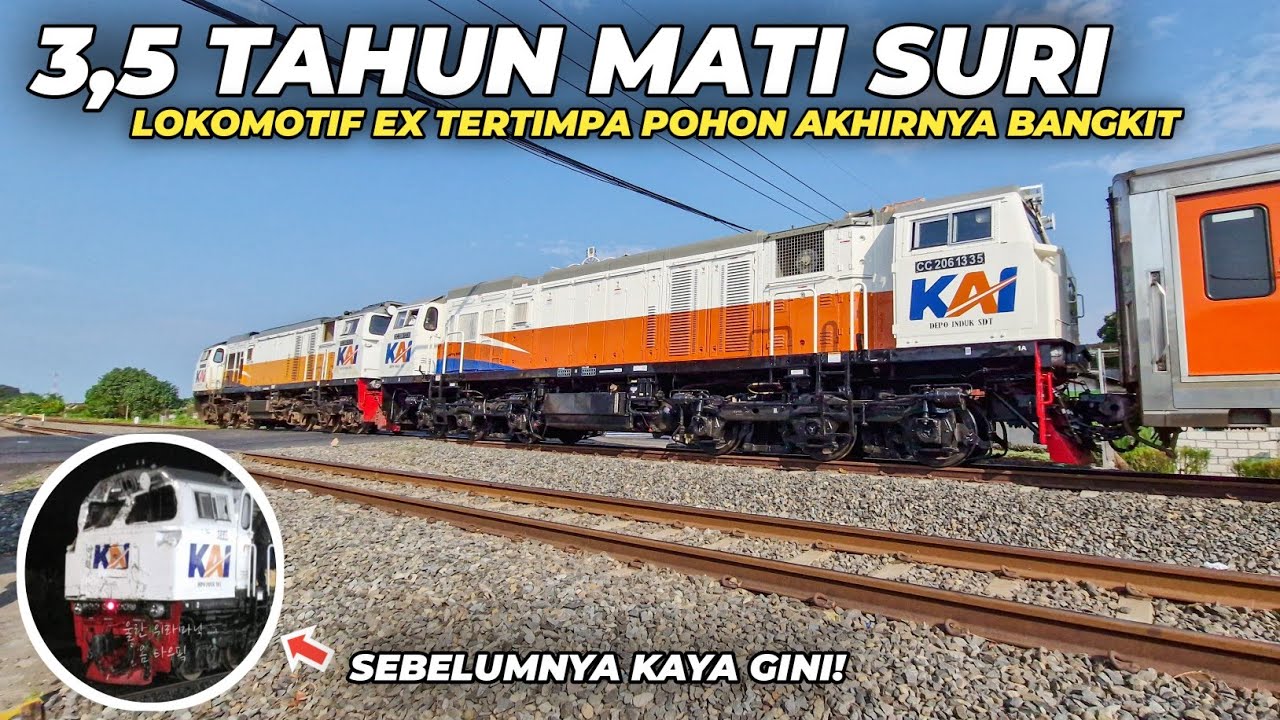BANGKIT DARI TIDUR PANJANG LOKOMOTIF ex PLH TERTIMPA POHON DI COMAL!! Kembalinya CC206 13 35 SDT