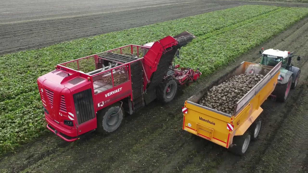 Rübenernte 2025 Lohnbetrieb Herbers