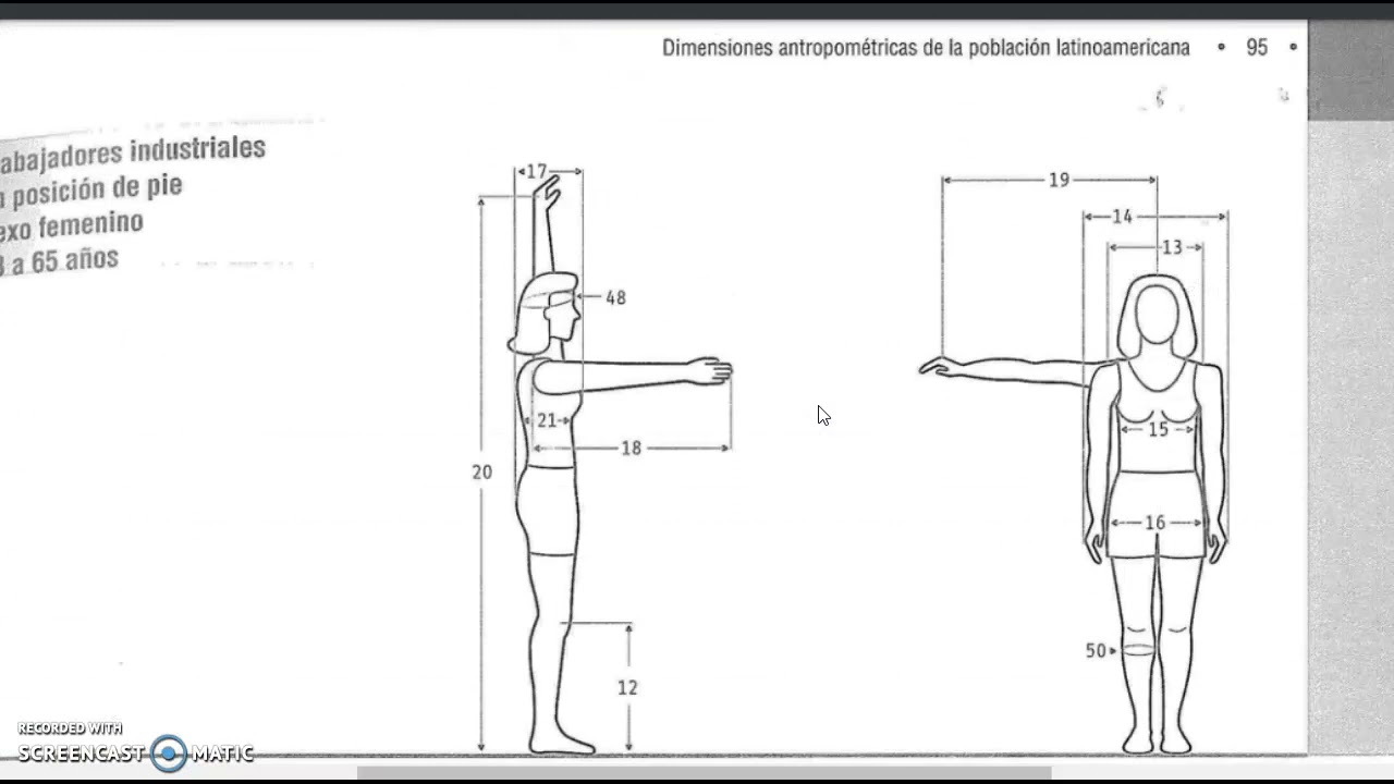 Uso dimensiones antropométricas en diseño puestos de trabajo