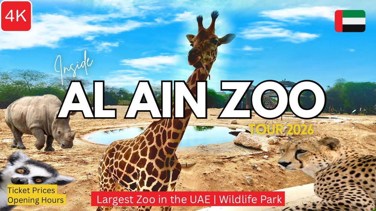 Al Ain Zoo Abu Dhabi 2026! Tour at the LARGEST ZOO in the Middle East & NEW Attractions 4K