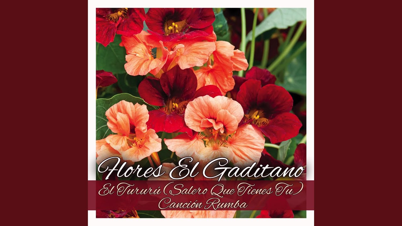 El Tururú (Salero Que Tienes Tu) - Canción Rumba
