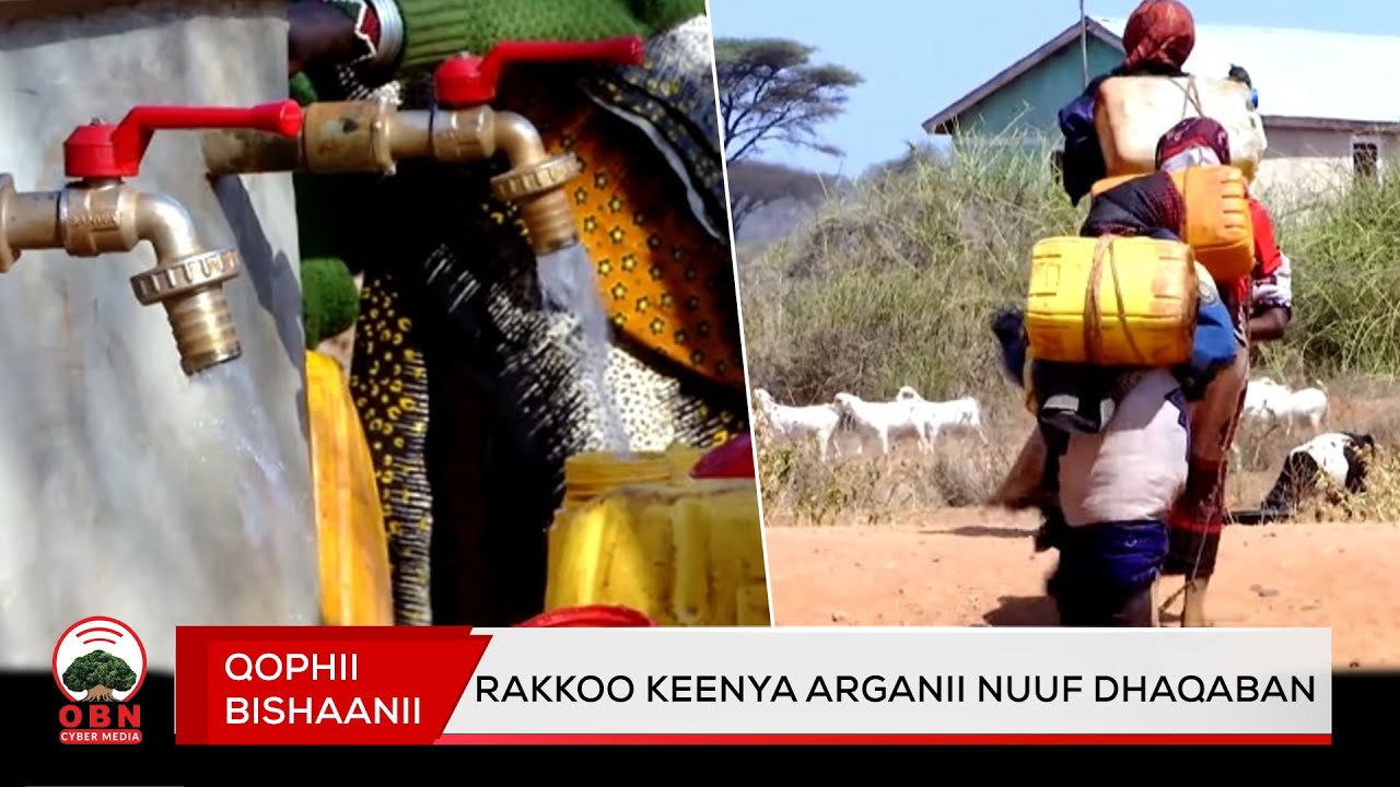 Qophii Bishaanii//rakkoo keenya arganii nuuf dhaqaban//