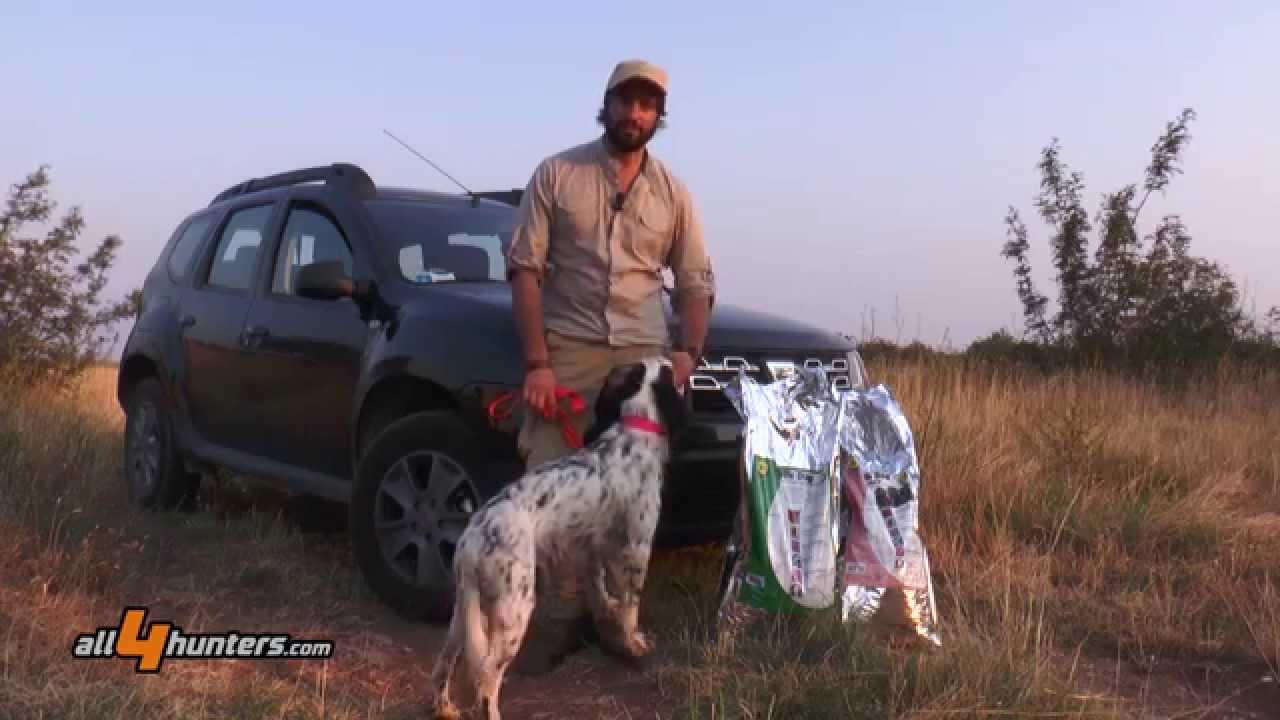 Caccia e cinofilia. Allenamento estivo con Atletic Dog