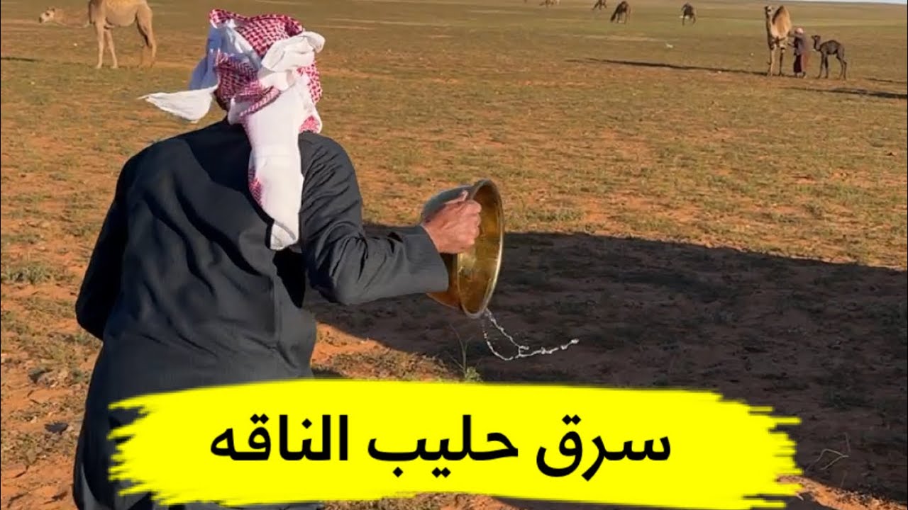 كشته وربيع الشمال الهوج