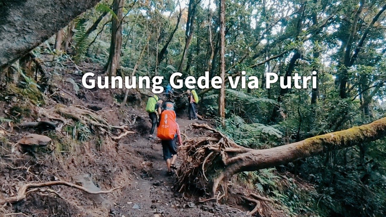 Pendakian Gunung Gede via Putri - hanya suara hutan