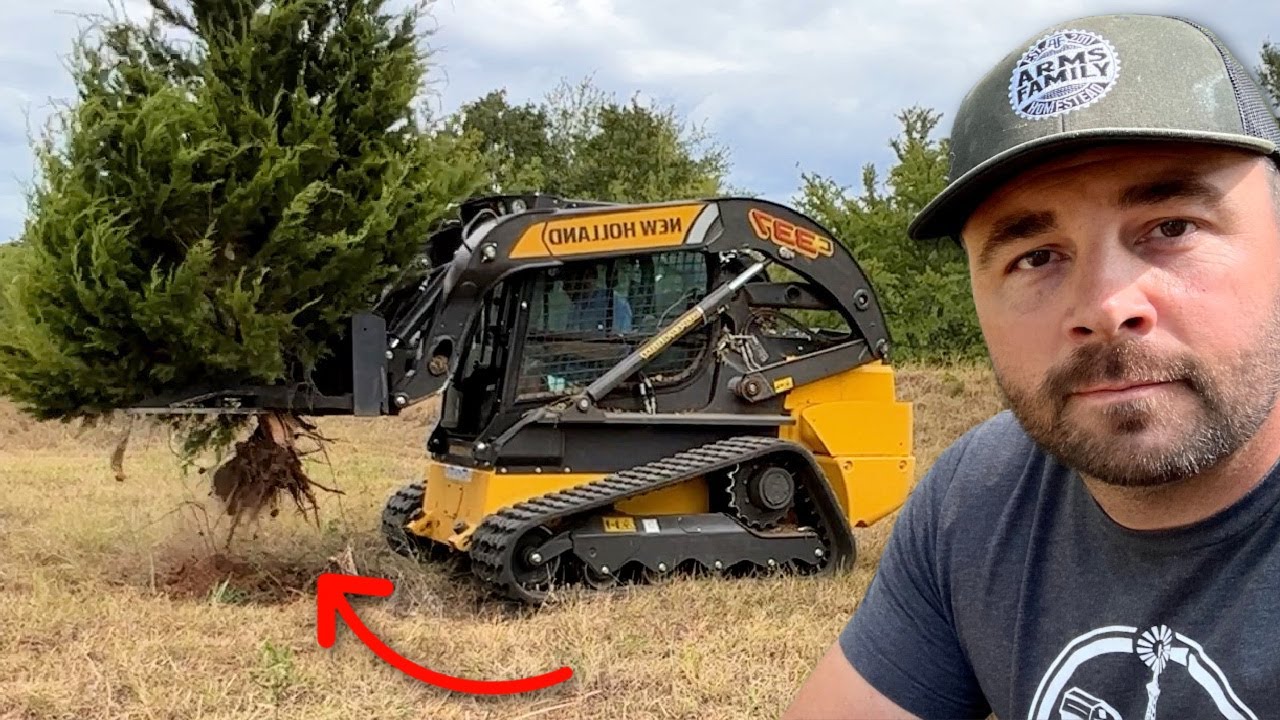 Ripping and Rolling! Pulling Cedars Up by the Roots!