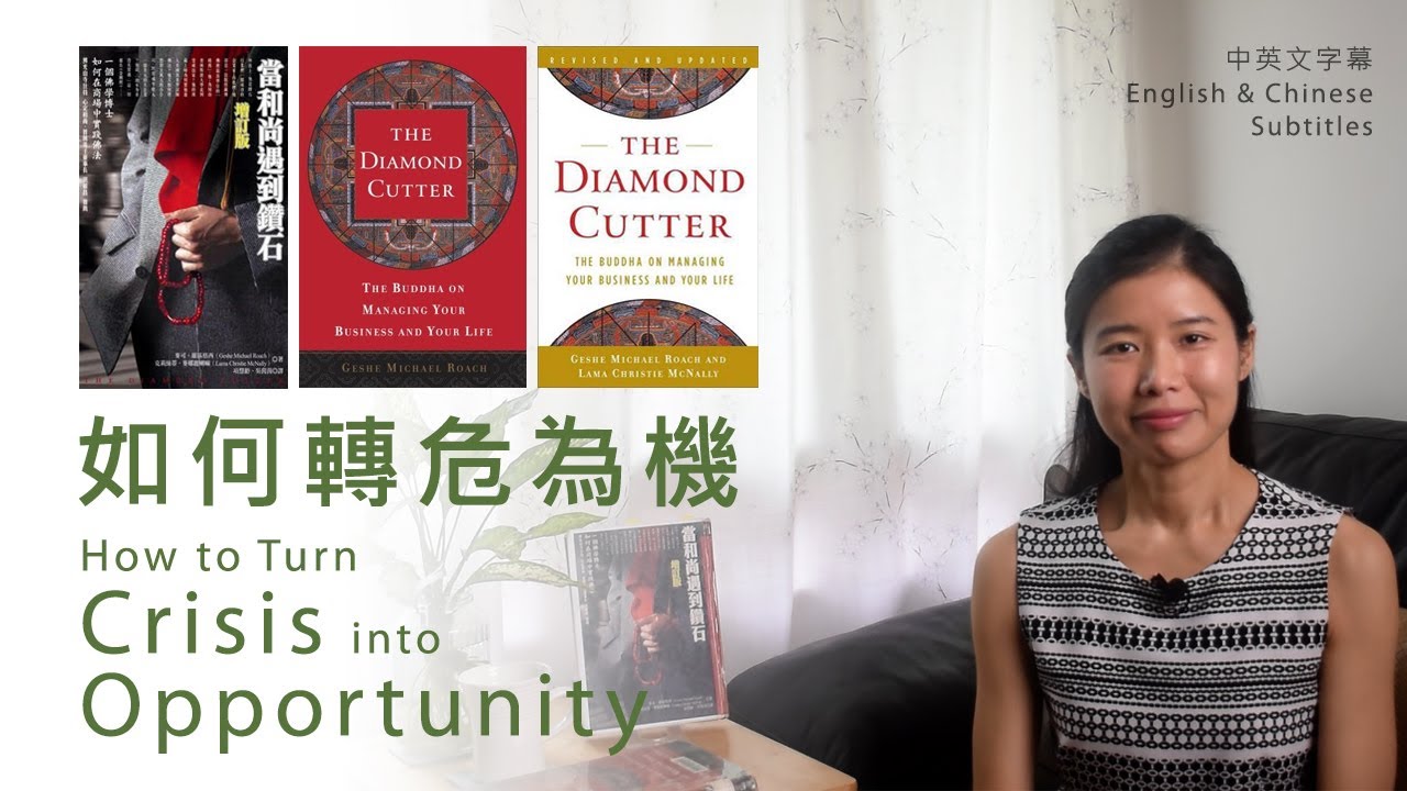 當和尚遇到鑽石 - 如何轉危為機 - 書評 - The Diamond Cutter - How to Turn Crisis into Opportunity -Book Summary