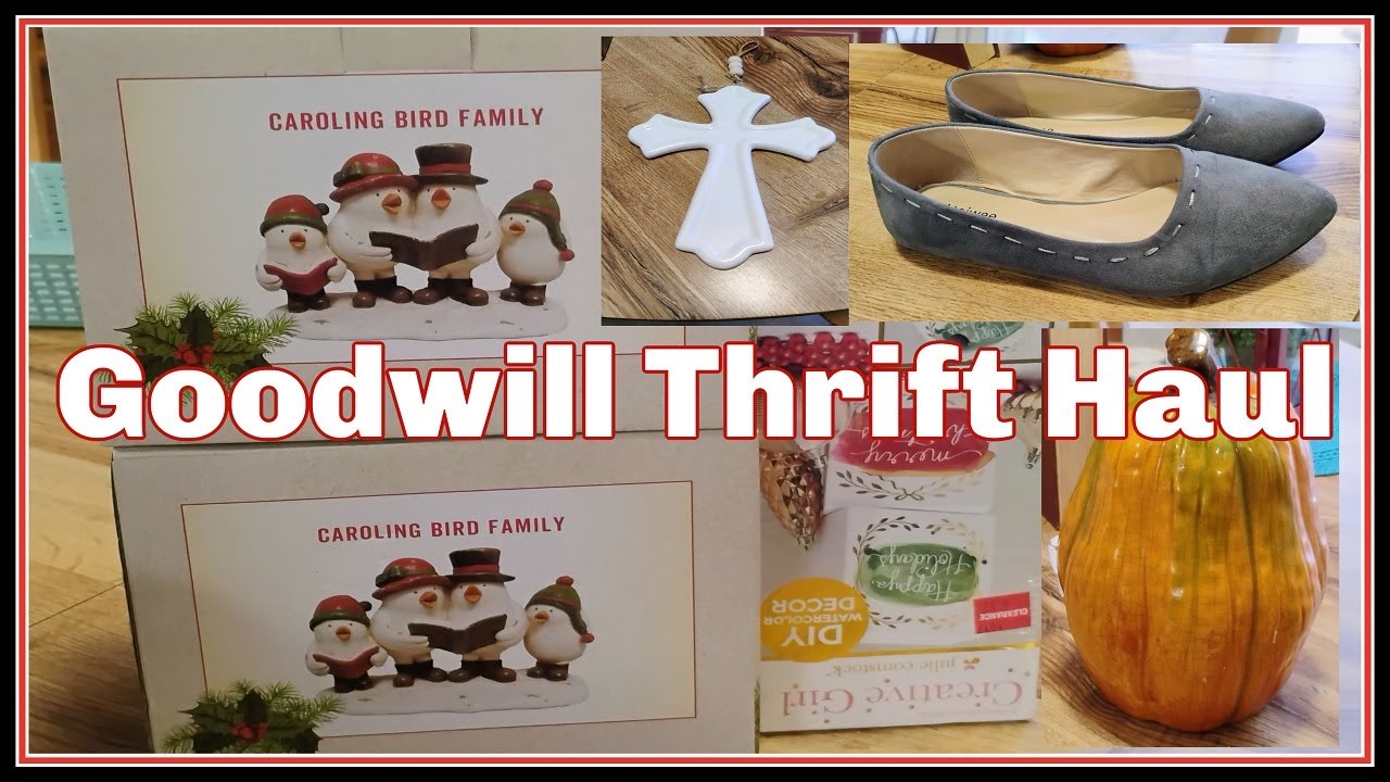 Goodwill Thrift Haul | Shop With Me | 2 Thrift Hauls In One