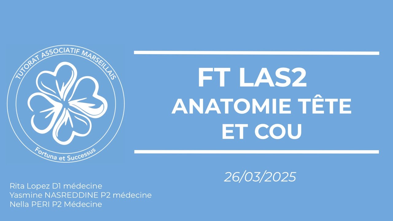 FaceTAM LAS 2 - Anatomie tête et cou - 26 mars 2025