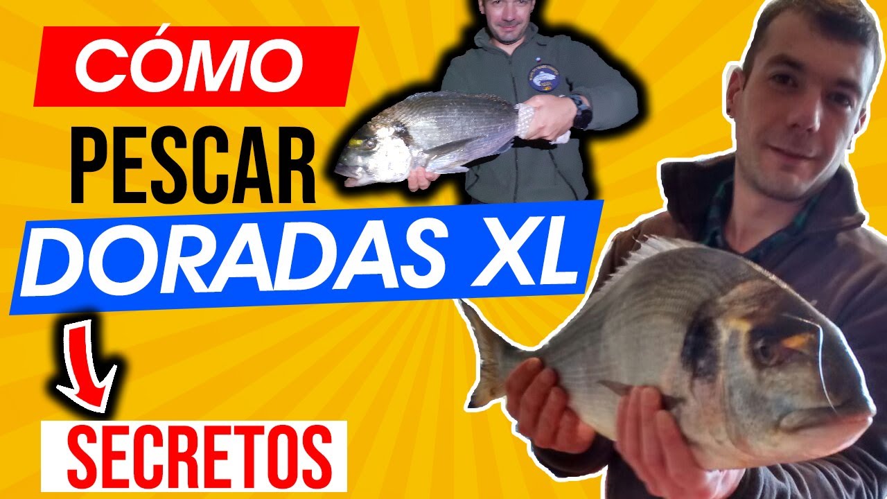 C&Oacute;MO PESCAR DORADAS 📕 Surfcasting 📗 (Consejos y TRUCOS) Asturias / Galicia