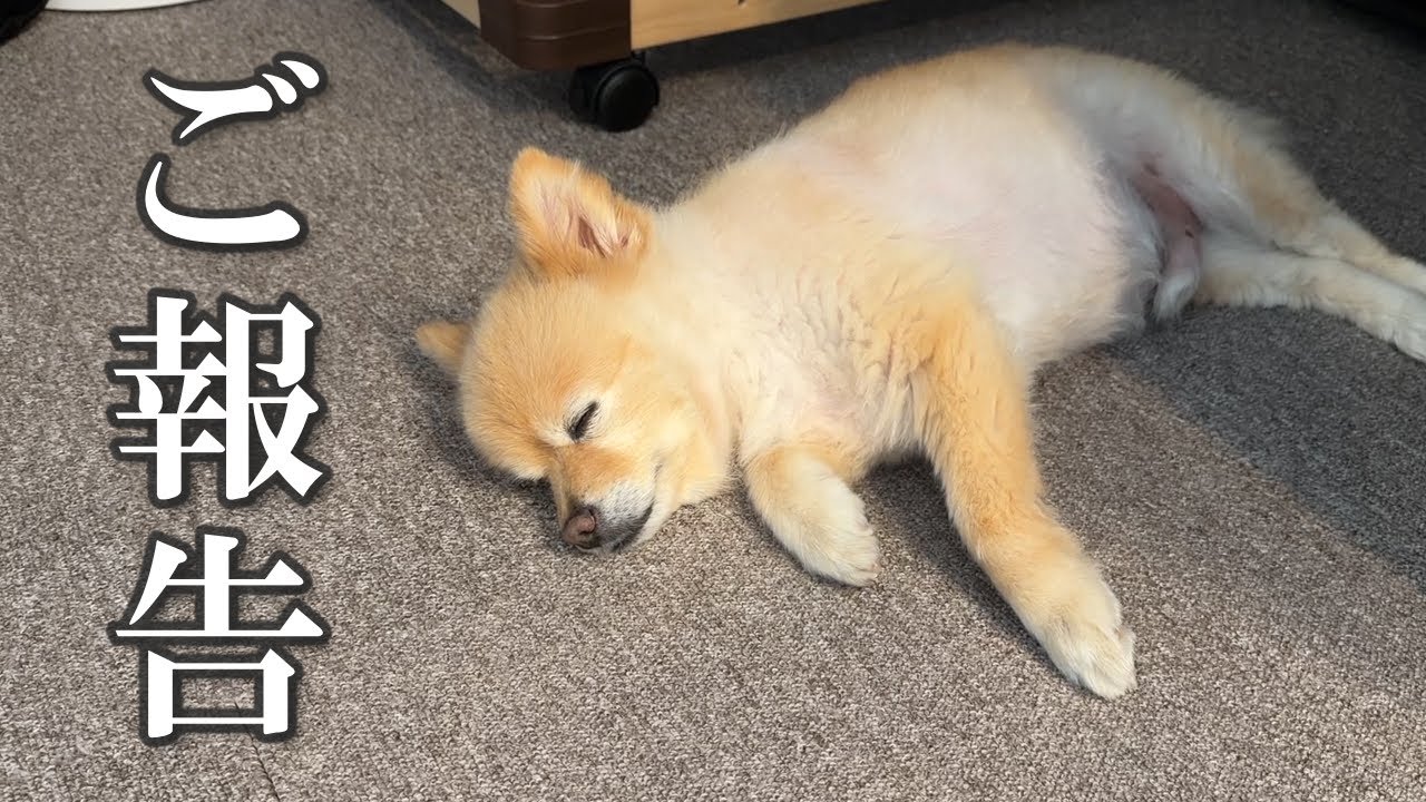 【ご報告】腫瘍と肝臓の検査結果についてお話があります&hellip;