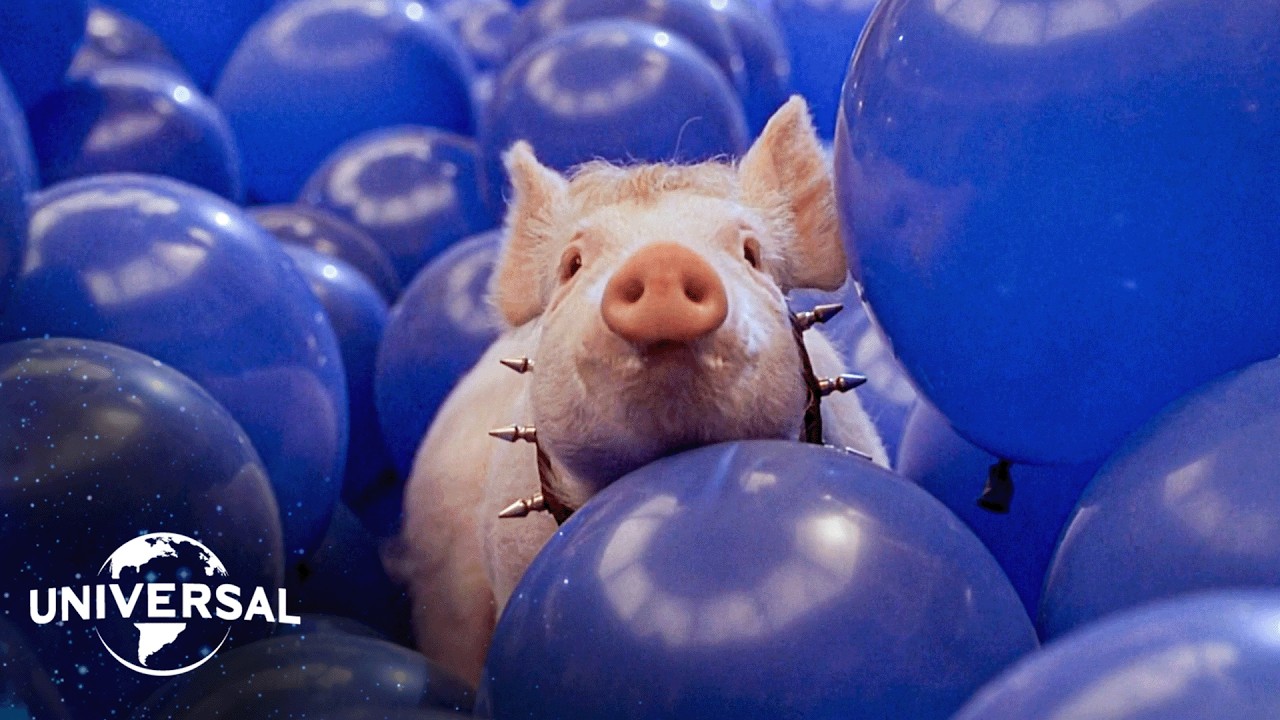 Babe: Pig in The City | The Big Blue Balloon Escape