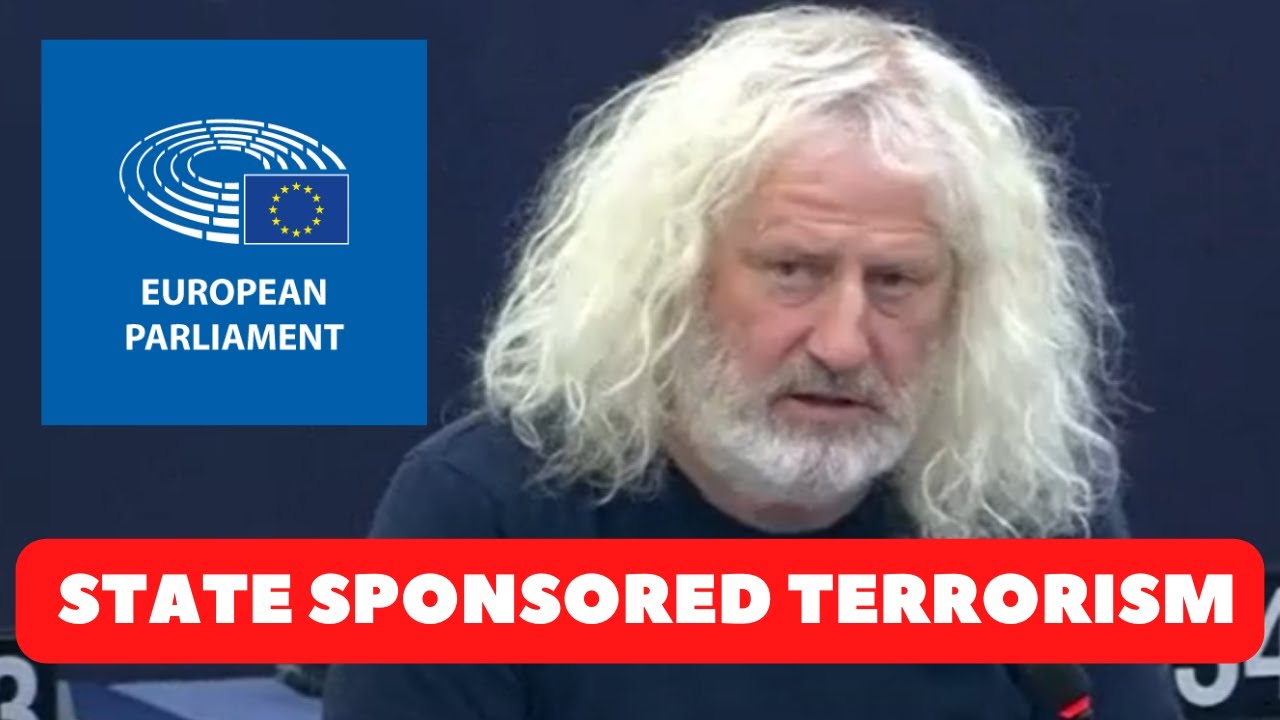 MEP Mick Wallace- speech from 23  Nov 2022