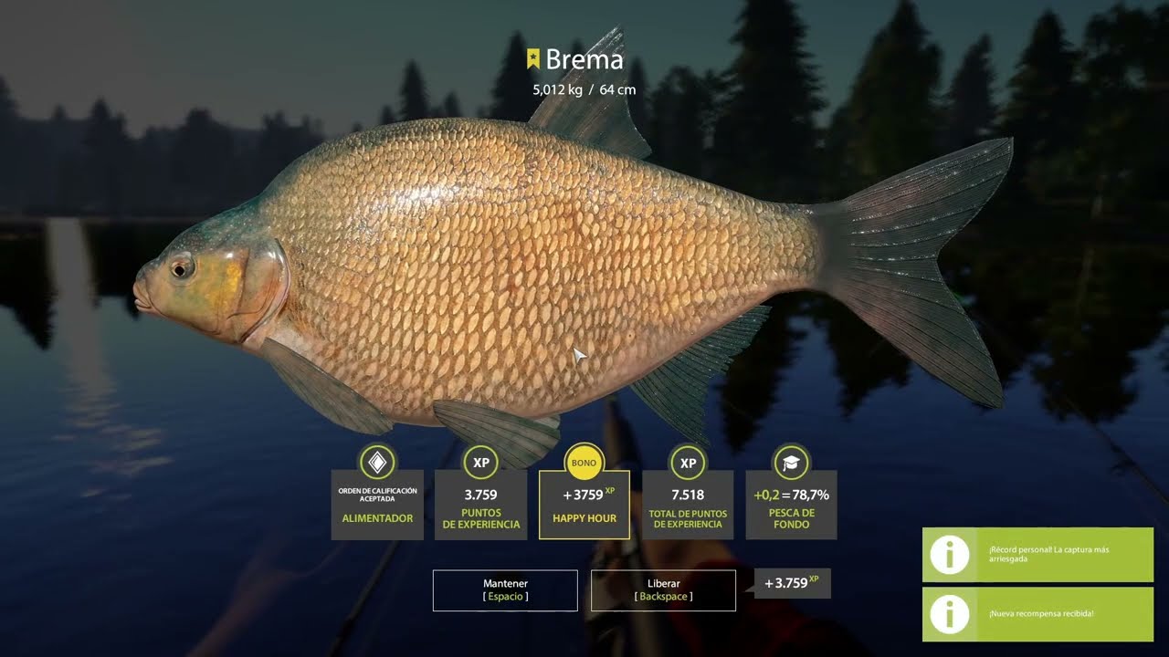 Russian fishing 4 //Trofeo Brema Lago Castillo viejo // Trophy Bream Old Burg lake.