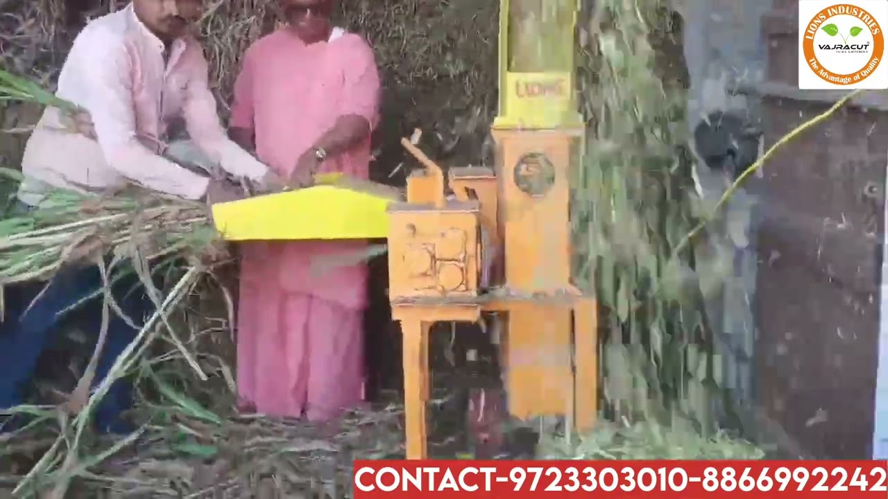 Chaff Cutter Model-L9 By Lions Industries