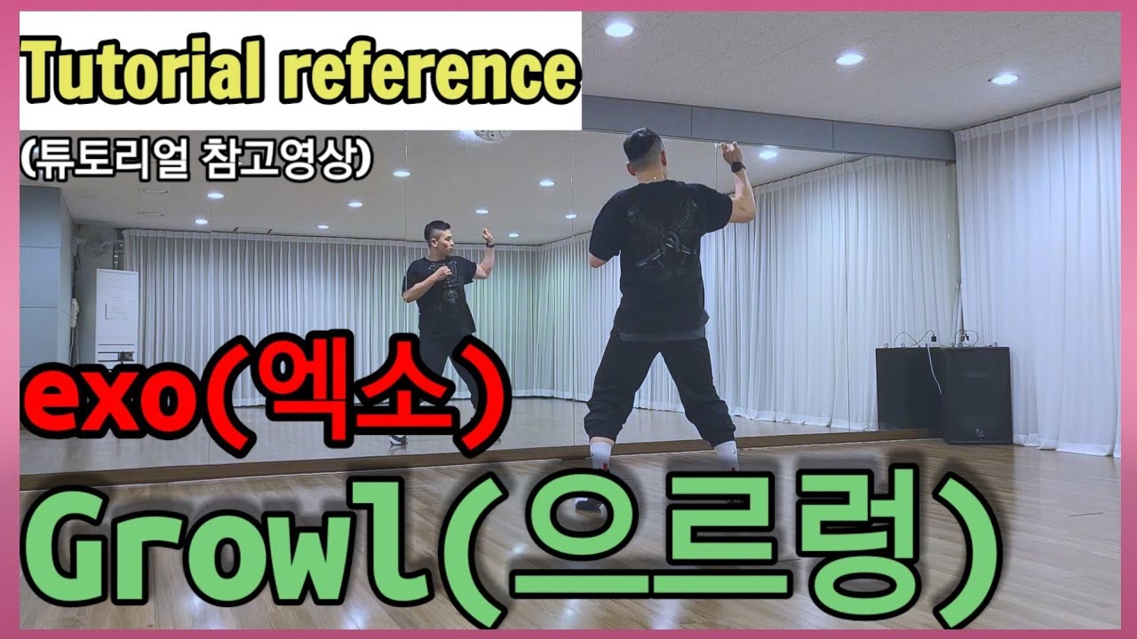 [Tutorial Reference] exo 'growl' coverdance | 엑소 '으르렁' 튜토리얼 참고 영상
