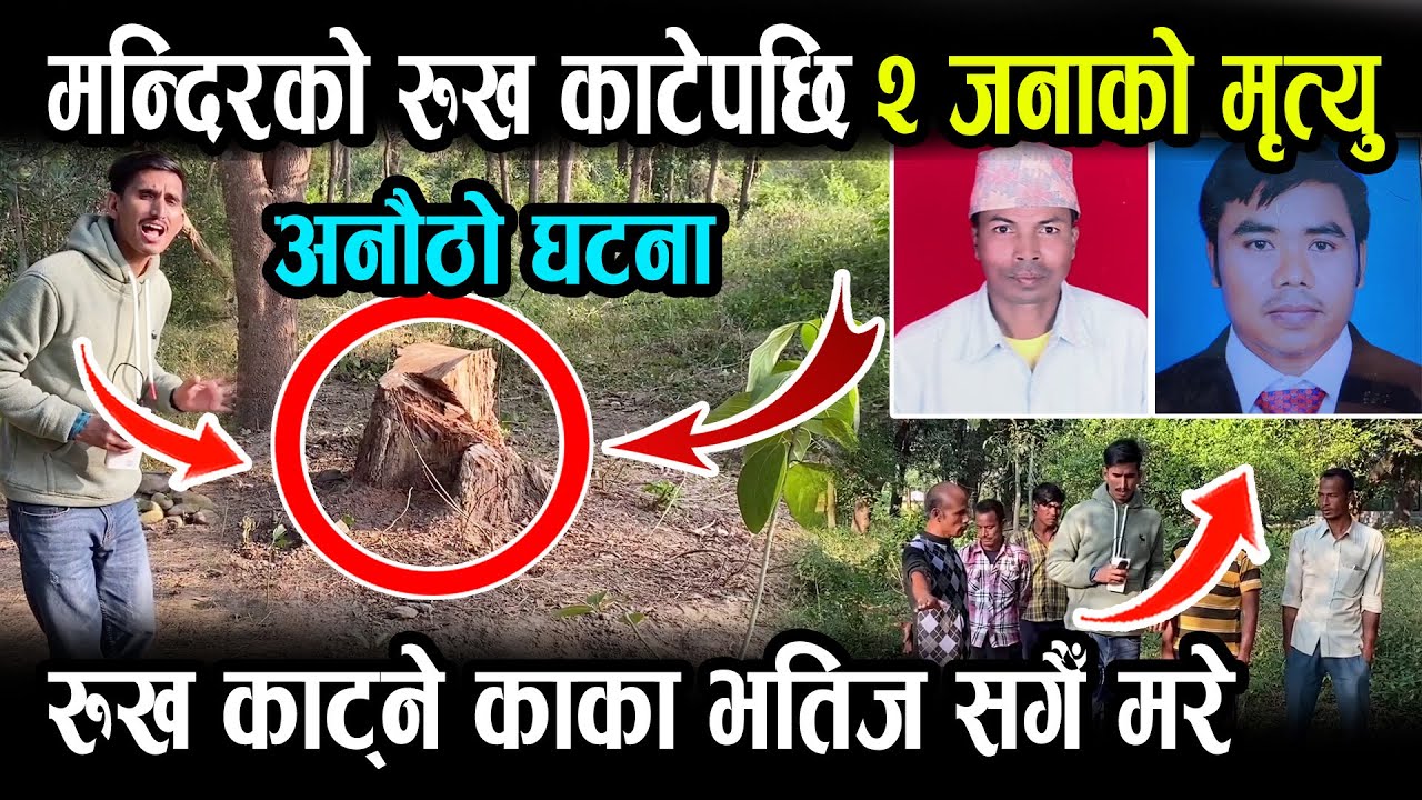 मन्दिरको रुख काटेपछि अचम्मै भयो, रुख काटेका काका भतिजकै भयो मृत्यू , दाङको रिहारमा हेर्नुहोस्