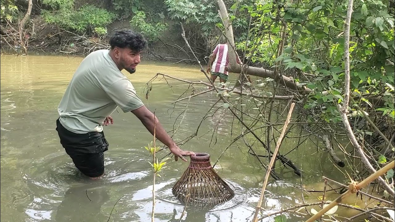 পলো দিয়ে মাছ ধরলাম গ্রাম বাংলার পুরানো ঐতিহ্য। ছোট্ট একটি ডোবা থেকে। 