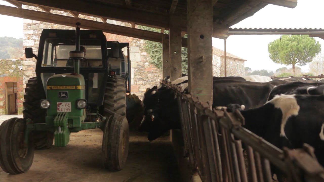 Origen de la leche de Danone - Ganadería Can Turro - Sta. Mª Palautordera, Barcelona