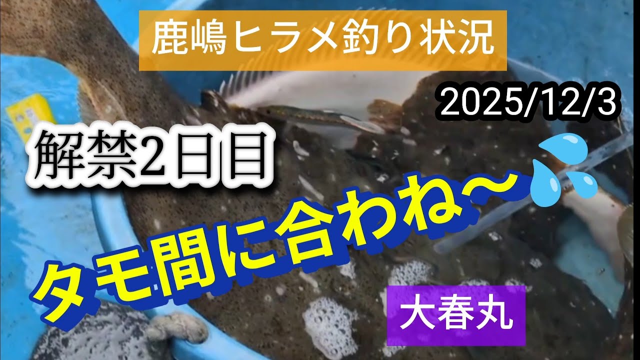 鹿嶋ヒラメ釣り 2025/12/3  今日も爆釣 解禁2日目 