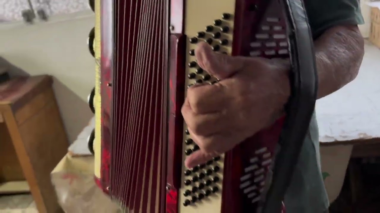 Sanfona Acordeon Scandalli Brevetto 80 baixos Italiana - pronto para o uso - regulada afinada fole 