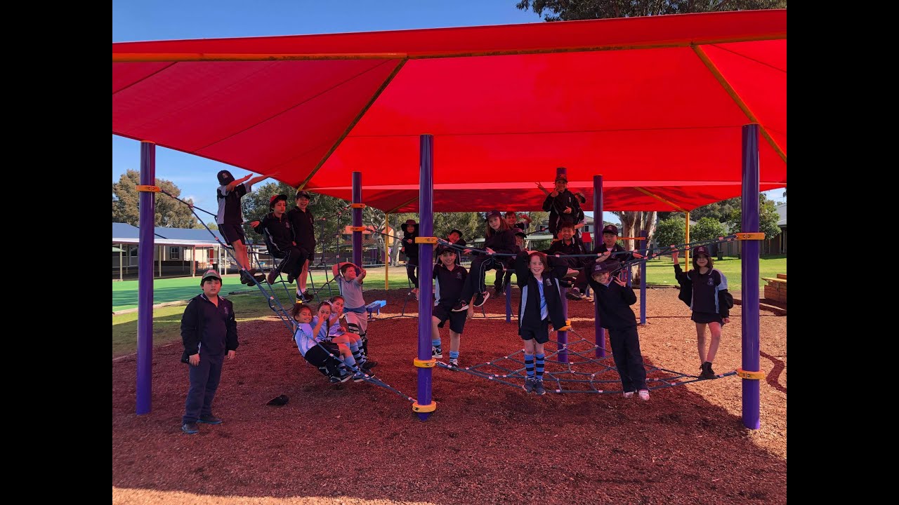 Wobbegongs for education week 2020