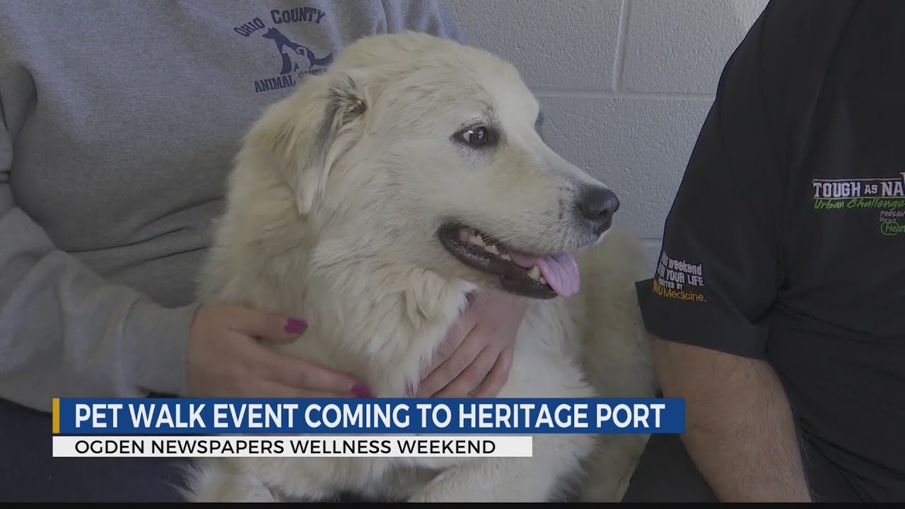 Pet walk coming to Ogden Newspapers Wellness Weekend