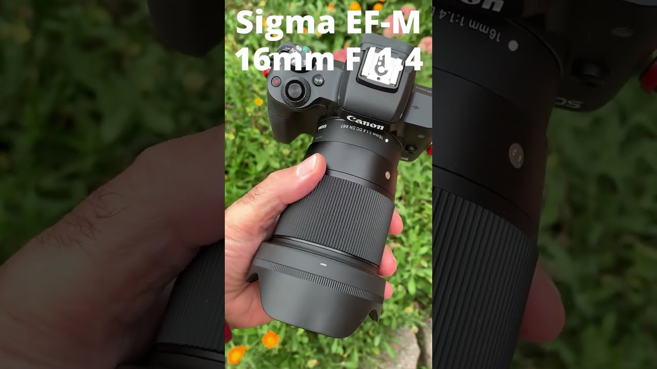 Sigma EF-M 16mm F/1.4 Prime Lens on Canon EOS M50 Mark II #shorts