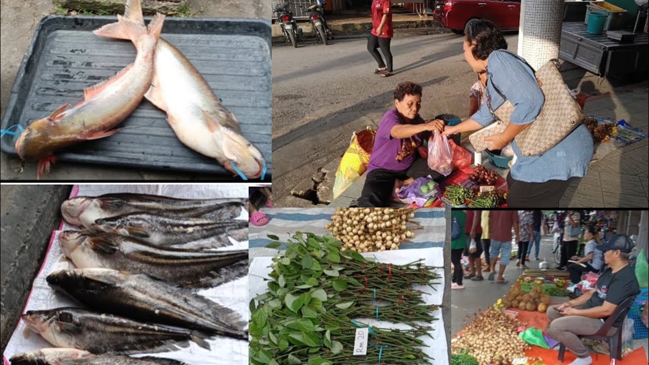 IKAN TAPAH PALING BANYAK DIJUAL DI TAMU STC LAMA BANDAR SIMANGGANG #ukaisenangkasenang 