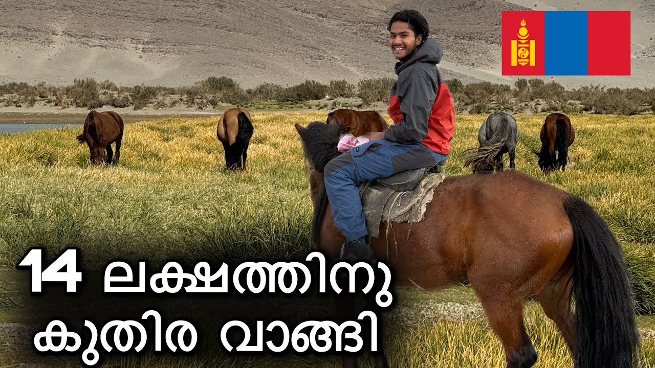 ഞാൻ മംഗോളിയയിൽ നിന്ന് കുതിര വാങ്ങി / buying horse in Mongolia 