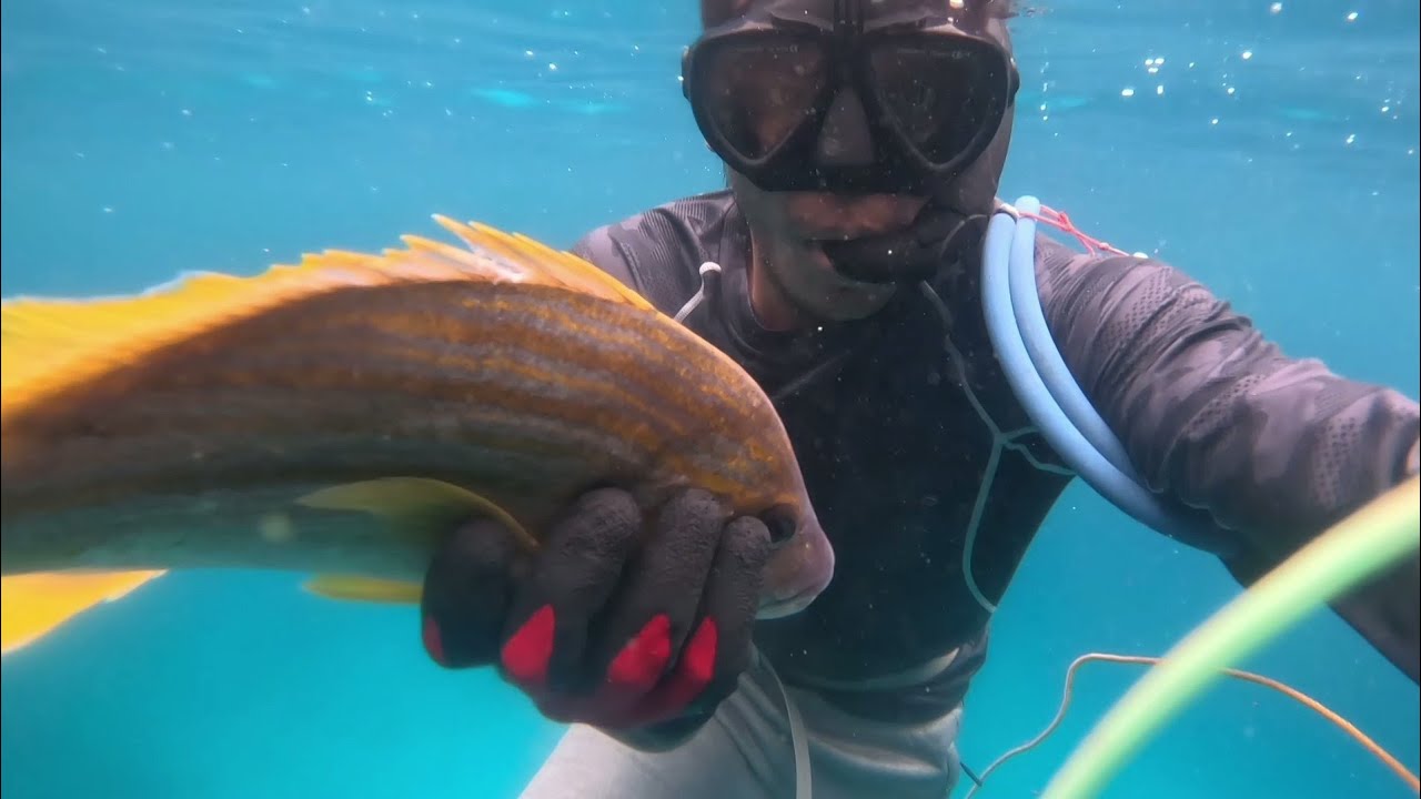 Part 2 Nang Aming DAYO Sinabaw na lapu-lapu