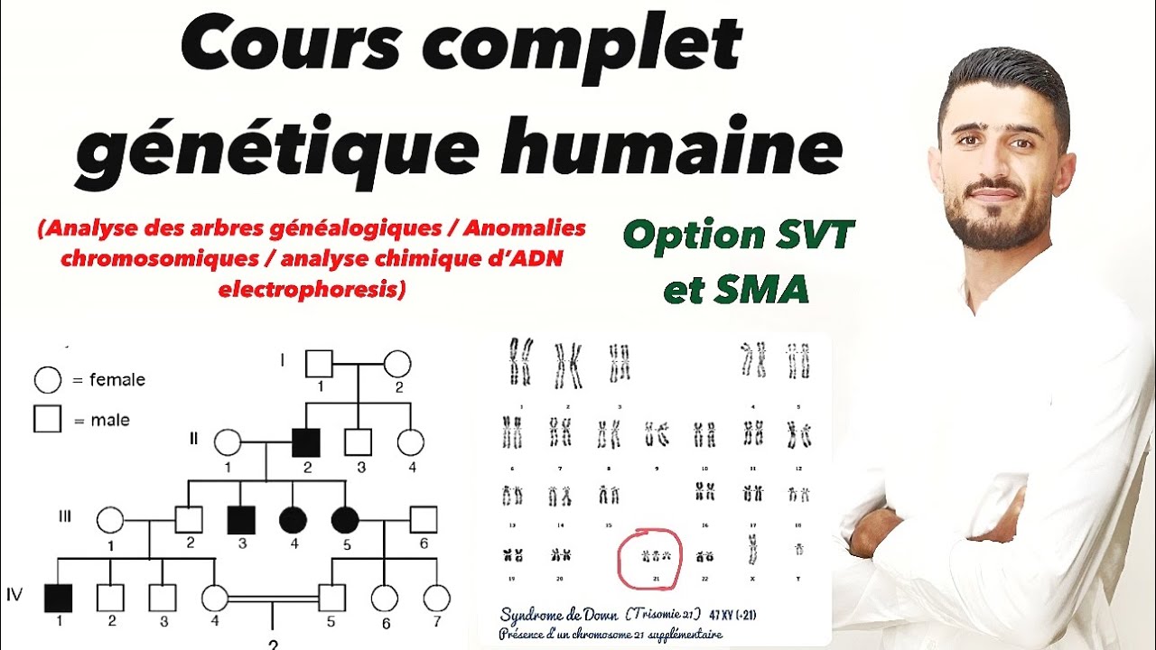 Cours complet la génétique humaine ( arbre généalogique / anomalies chromosomiques / Électrophorèse)