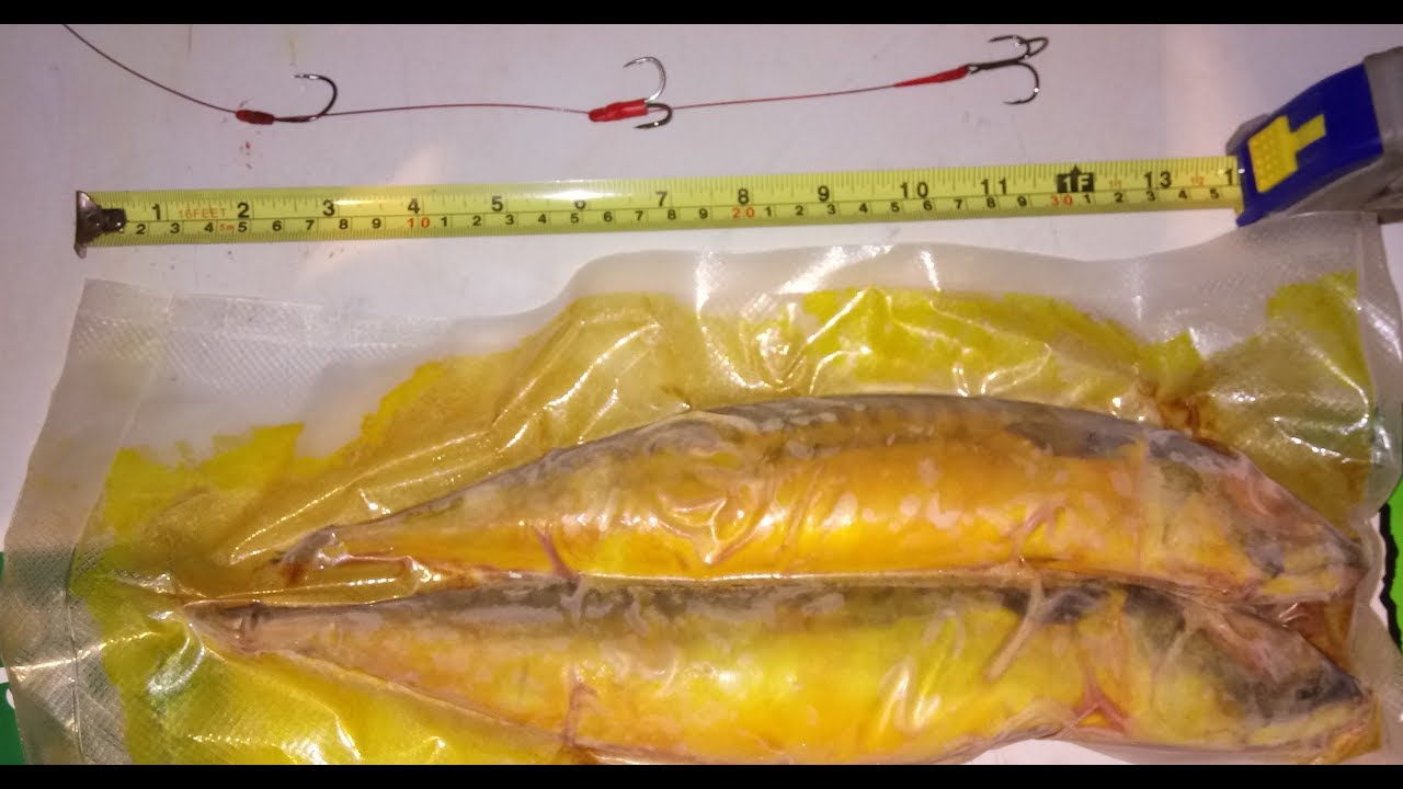 Big Baits for Pike Fishing pt 2