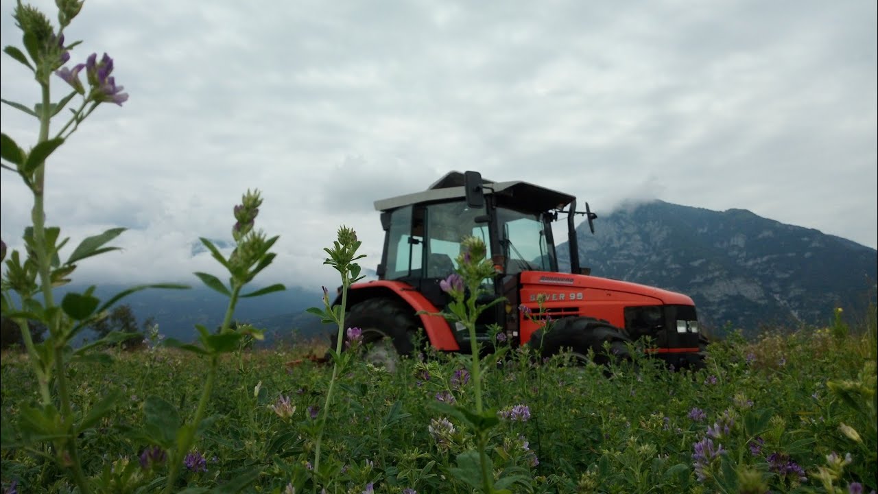 erba medica - KUHN FC202R (GoPro)
