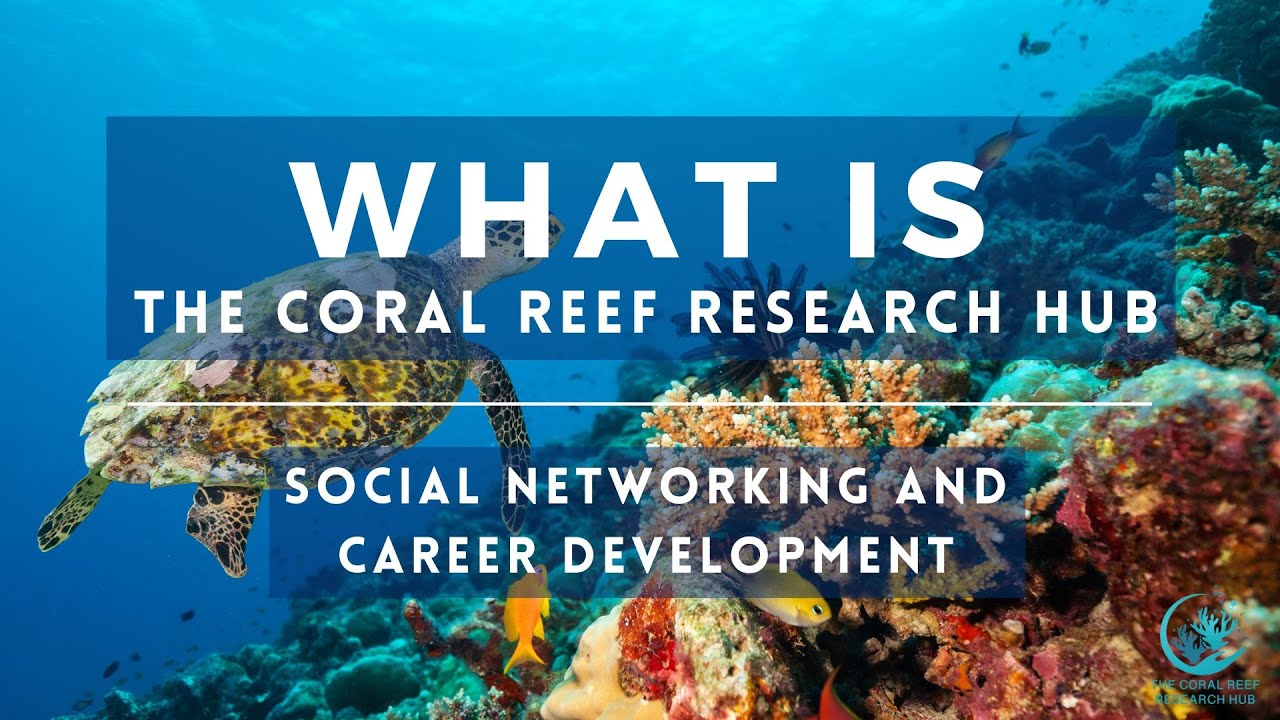 The Coral Reef Research Hub