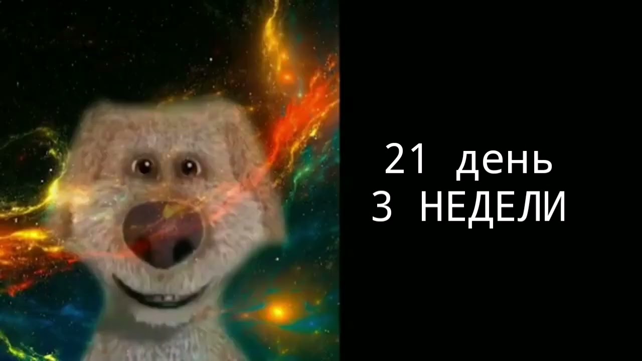 До др осталось: