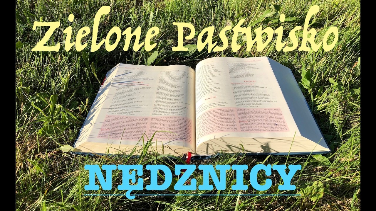 Zielone Pastwisko 27.02.2026 „NĘDZNICY